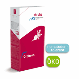 Zeige Details für Zuckerrübensaatgut - Orpheus - DE-ÖKO-003 Bild von Zuckerrübensaatgut - Orpheus - DE-ÖKO-003